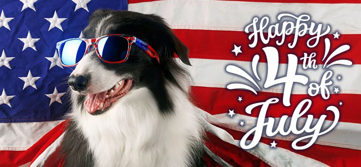 Keeping Your Pets Safe During Fourth of July Celebrations